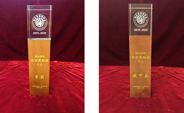 杰出贡献奖.png
